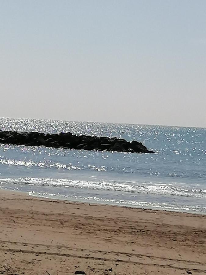 Studio Cabine Valras Plage 300M De La Mer 외부 사진